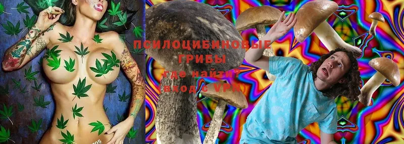 Псилоцибиновые грибы Magic Shrooms  Пыталово 